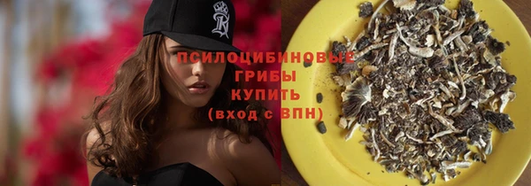 ПСИЛОЦИБИНОВЫЕ ГРИБЫ Липки