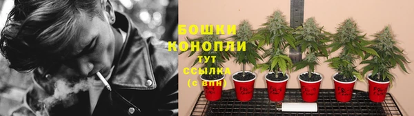 ПСИЛОЦИБИНОВЫЕ ГРИБЫ Липки