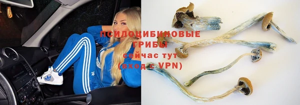 ПСИЛОЦИБИНОВЫЕ ГРИБЫ Липки