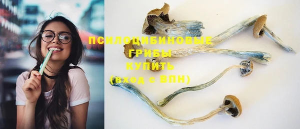 ПСИЛОЦИБИНОВЫЕ ГРИБЫ Липки