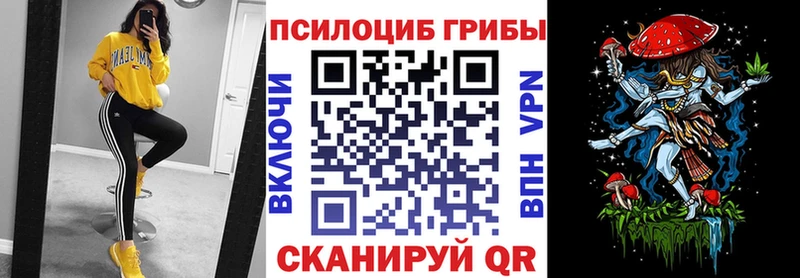 Галлюциногенные грибы Magic Shrooms  Александровск 