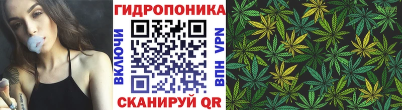 Бошки Шишки конопля  Александровск 